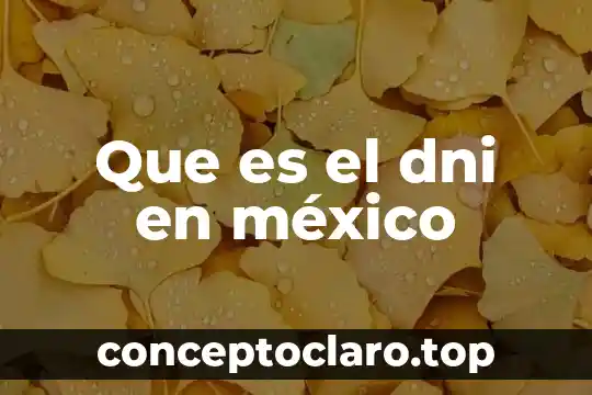 Qué es la inversión privada México 7 Que es el dni en méxico