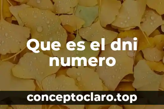 Que es el dni numero