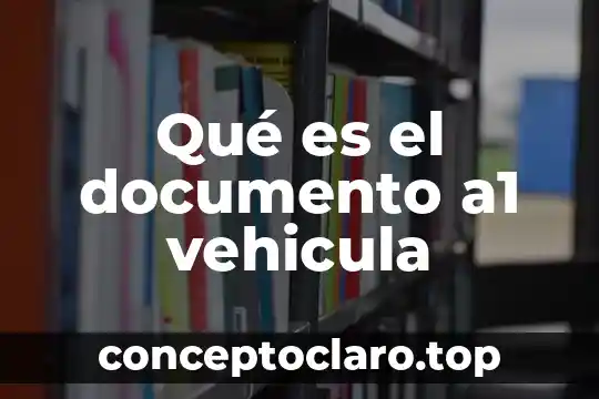 Qué es el número de documento único de identidad 7 Qué es el documento a1 vehicula
