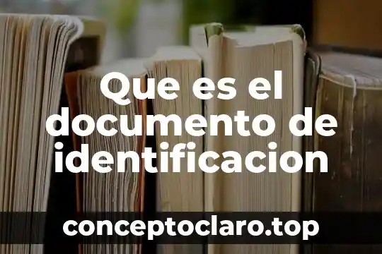 Qué es número de identificación de la auditoría 5 Que es el documento de identificacion
