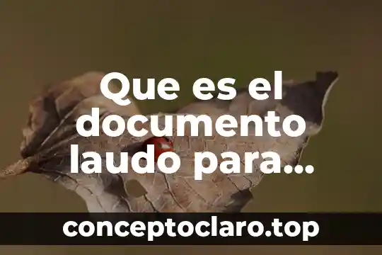 Que es el documento laudo para afore