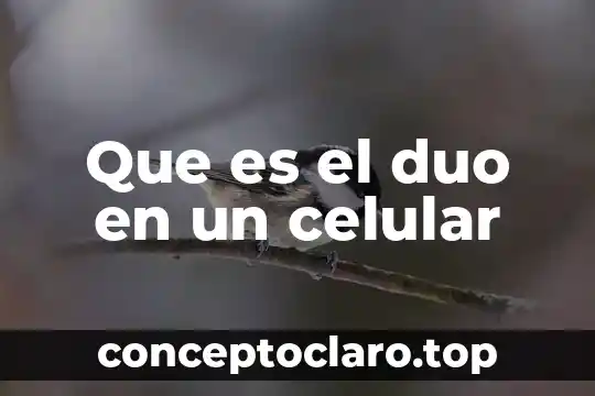 Lesión celular qué es 6 Que es el duo en un celular