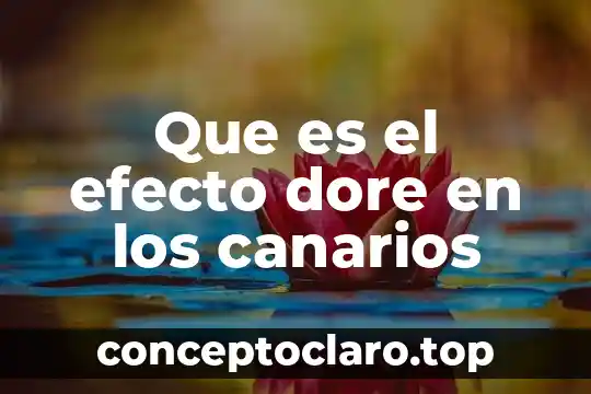 Que es el efecto dore en los canarios