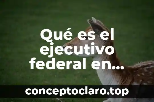 Qué es el ejecutivo federal en México