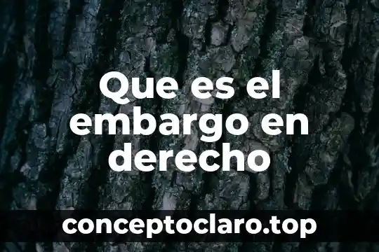 Que es el embargo en derecho