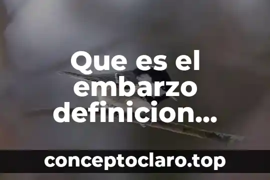 Que es el embarzo definicion etimologica y real