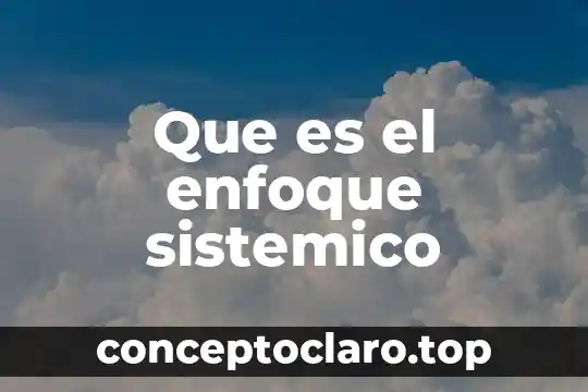Que es el enfoque sistemico