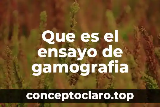 Que es un ensayo para que y cuando se utiliza 4 Que es el ensayo de gamografia