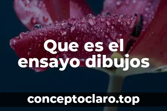 Filosofia que es dibujos 5 Que es el ensayo dibujos