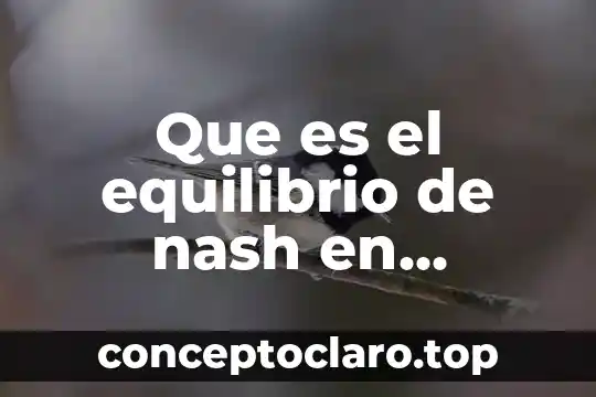 Que es el equilibrio de nash en economia
