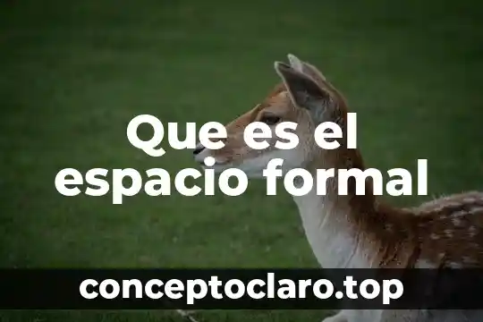 Que es el espacio formal