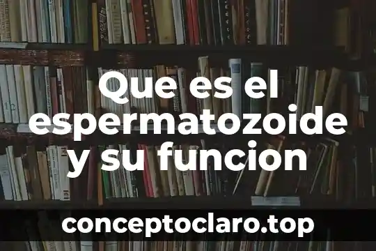 Que es ser cauteloza 5 Que es el espermatozoide y su funcion
