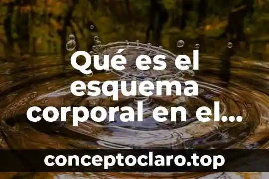 Que es un plano de limite de desarrollo humano 5 Qué es el esquema corporal en el desarrollo del niño