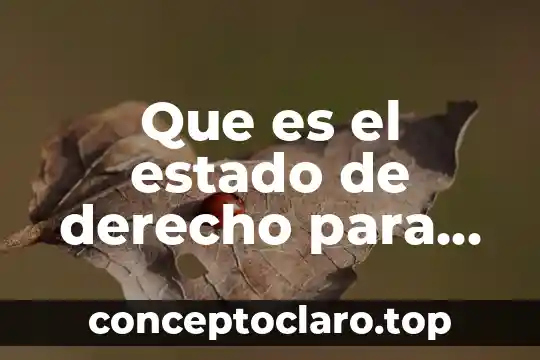 Que es el estado de derecho para rousseau