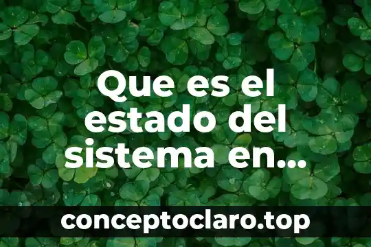 Que es el estado del sistema en simulacion