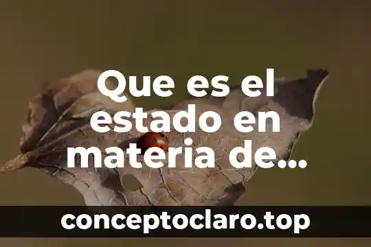 Que es el estado en materia de derecho