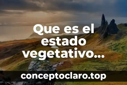 Que es el estado vegetativo articulo scielo