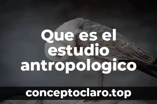 Que es el estudio antropologico