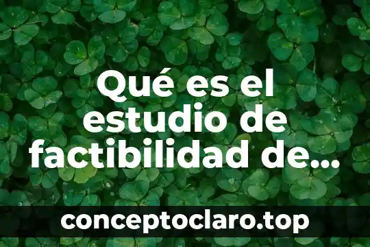 Que es un estudio de factibilidad en educacion 6 Qu茅 es el estudio de factibilidad de mercado