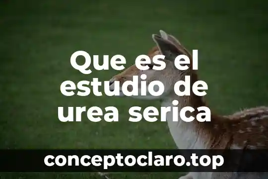 Qué es los niveles de estudio de la ecología 5 Que es el estudio de urea serica