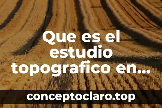Que es el estudio topografico en la construccion