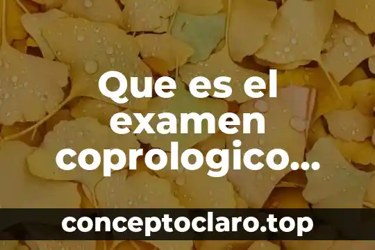 Que es la teori general de los sistemas 3 Que es el examen coprologico general