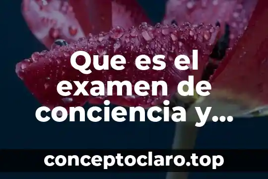 Que es el examen de conciencia y como se hace