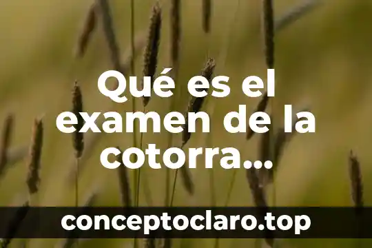Qué es el examen de la cotorra matemática