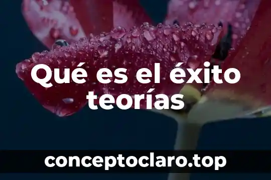 Qué es el éxito teorías