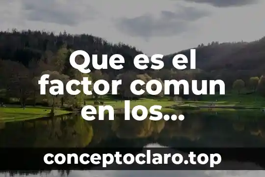 Que es un debate definicion 7 Que es el factor comun en los productos