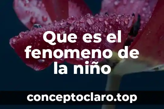 Que es fenomeno de estudio en metodologia 7 Que es el fenomeno de la niño