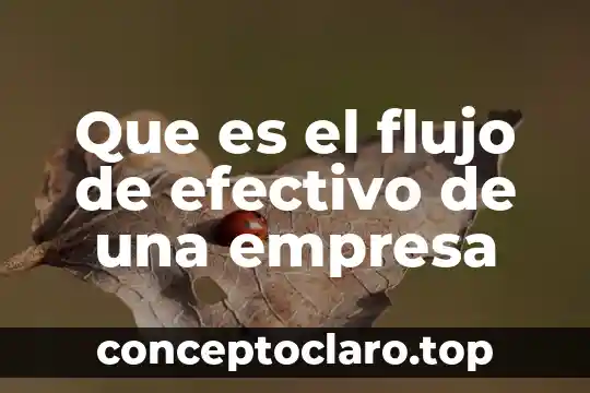 Que es el flujo de efectivo de una empresa