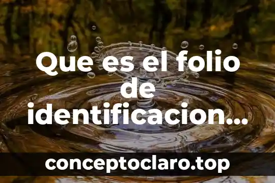 Qué es un número de folio 4 Que es el folio de identificacion social