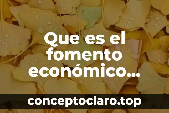 Que es espiritualidad objetivo 6 Que es el fomento económico cual es su objetivo