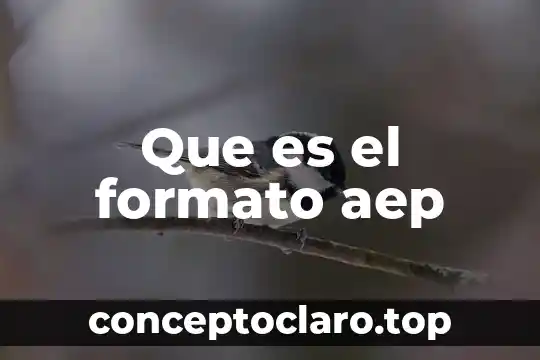Que es el formato aep