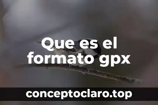 Que es el formato gpx