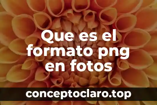 Que es el formato png en fotos
