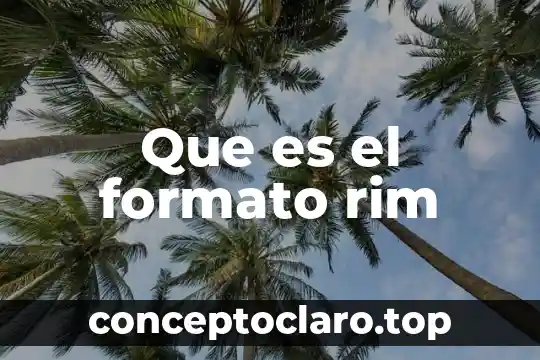 Que es el formato rim