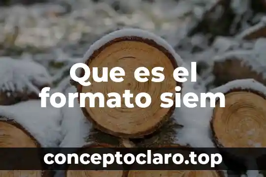 Que es la barra de herramienta de formato 4 Que es el formato siem