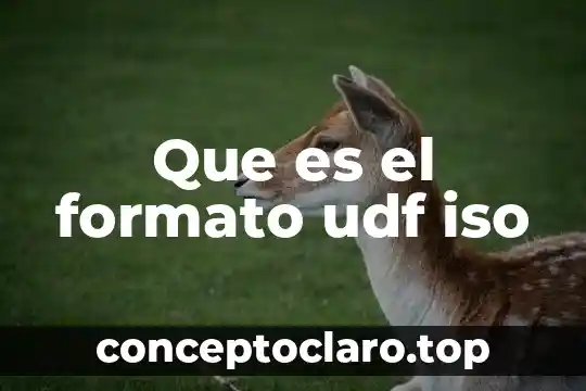 Que es el formato udf iso