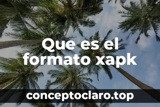 Que es el formato xapk