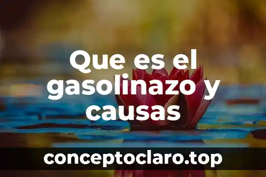 Que es significa causas 6 Que es el gasolinazo y causas