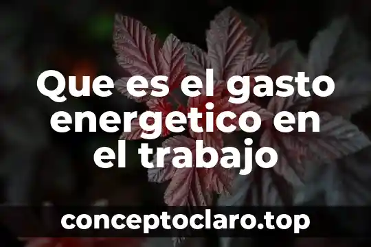 Que es el gasto energetico en el trabajo