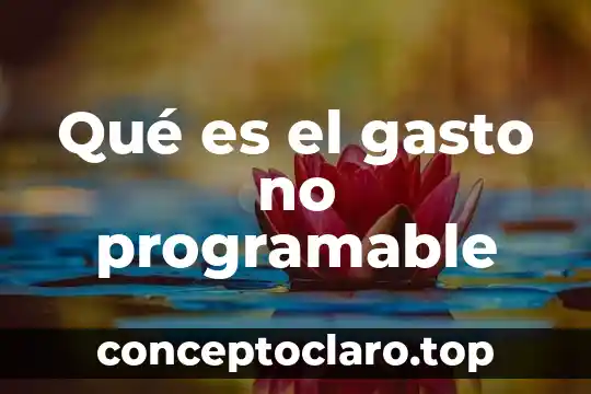 Qué es el gasto no programable