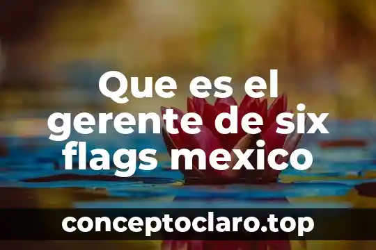 Que es el gerente de six flags mexico