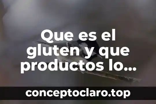 Apertura al capital y productos extranjeros que es 6 Que es el gluten y que productos lo contienen