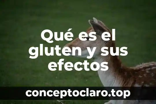Qué es el gluten y sus efectos