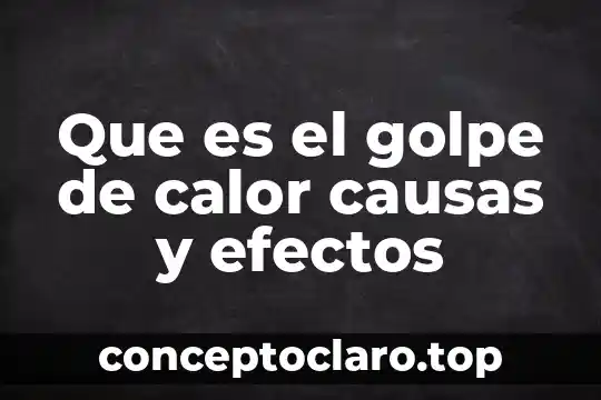 Que es significa causas 3 Que es el golpe de calor causas y efectos