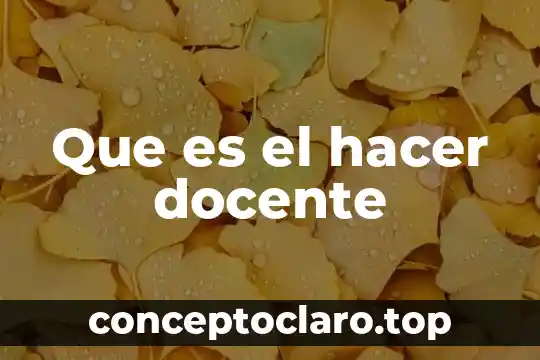 Que es lo que no puedo hacer durante el embarazo 3 Que es el hacer docente