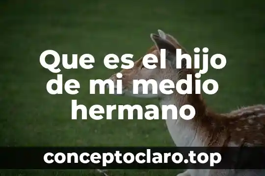 Que es el hijo de mi medio hermano